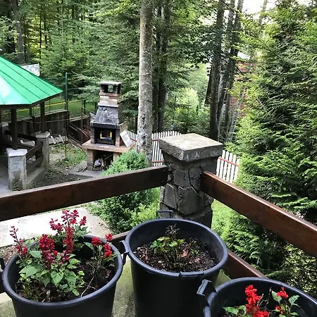 Casita Del Bosque * Sinaia