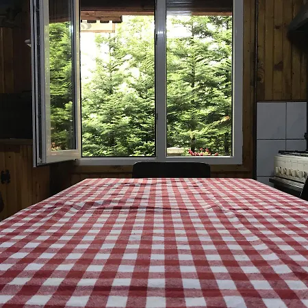 Casita Del Bosque Lodge Sinaia